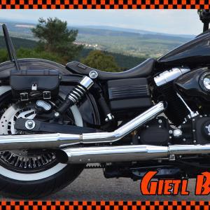 MCJ Auspuffanlage für Harley Davidson - Dyna Modelle