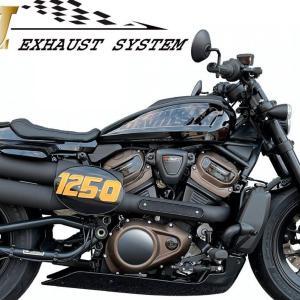 MCJ Auspuffanlage für Harley Davidson Sporty1250