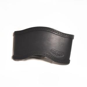 Spritzschutz Springergabel